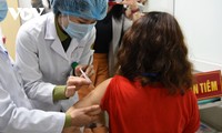 6월 8일, Nano Covax 백신 3단계 시험접종 예상