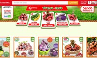 “온라인 베트남 농산물 시장”, Sendo 전자 상거래 시장에 등장