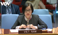 베트남, UNAMID 기여 높이 평가