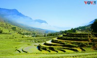 베트남에서 “사진이 가장 잘 나오는” 관광지 호이안과 사파의 아름다움 