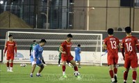 호주 언론, 베트남 축구대표팀 높이 평가