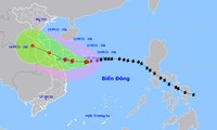 베트남, 3일 전 태풍 예측 모형 구축