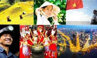 전면적 베트남 문화 및 건설 개발