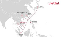 베트남 최대 대역폭 광케이블 접안작업