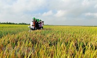 안장성, 국가 쌀 브랜드 구축 및 개발