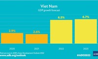 베트남 경제, 12개월 후 코로나19 발생 전으로 회복 전망