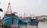 배트남, 2050년까지 184개 어항 보유 목표