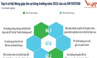Vietnam Report, ‘긍정적 성과 달성 기업‘