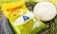 베트남 쌀, 베트남 브랜드로 국제 시장 정복
