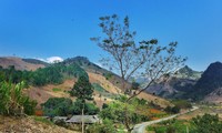 ‘타이족의 땅’ 옌바이성 관광지 탐방