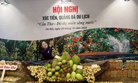 하노이 내 ‘껀터-수상 도시’ 이미지 홍보