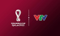VTV, 2022년 FIFA월드컵 판권 획득