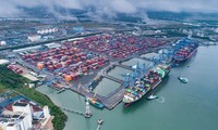 세계 50대 항구에 베트남 3개 항구 올라