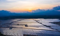 COP27 결과 및 베트남의 기후 보호 정책