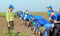 베트남 농업, 기후변화와 주동적으로 대응
