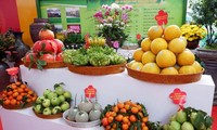 하노이, 제2회 농업 및 전통 공예마을 상품 페스티벌 개최