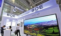 BOE Technology Group, 베트남에 공장 건설 희망
