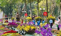 제43회 따오 단 봄꽃 축제 개막