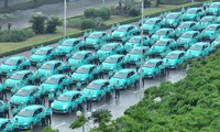 호찌민시, 첫 녹색 택시 서비스 운영