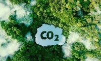 베트남, 2028년 탄소 배출권 거래소 운영 계획