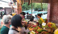 ‘남방의 향과 맛’ 음식 축제에 350개 특산물 체험
