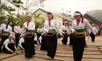 베트남 민속춤 보존 및 개발 사업
