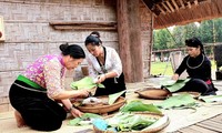베트남 소수민족 문화관광마을서 베트남 민족 음식 탐방