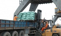 베트남 쌀 수출, 11개월간 44억 달러 달성