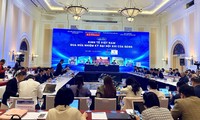 ‘제13차 당 전국 대표대회 임기 중간에 베트남 경제 포럼’ 개최