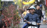 하노이, 전통 설을 맞아 83개의 꽃 시장 설치  