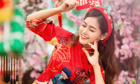 하노이시, 최초로 벚꽃‧금귤 축제 개최