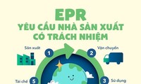베트남 자원환경부, 국가 EPR 포털 출범