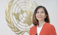 VOV, '유엔 총회, 설날을 유엔 공휴일로 인정'에 대해 유엔 베트남 코디네이터와 인터뷰