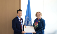 베트남, 유엔과의 협력 관계 강화 희망