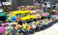 베트남 꽃‧선물 시장, 국제 여성의 날에도 안정적인 가격대 유지