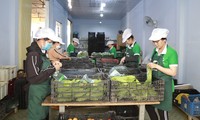 베트남, 6월부터 신규 상품 추적 데이터 규정 적용