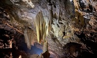 퐁냐-깨방 세계 자연 유산 내 22개 새로운 동굴 발견