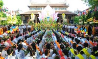 후에에서 ‘부처님 오신 날’을 맞아 다채로운 활동 개최