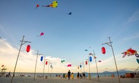 한국과 베트남, 7월 말에 열리는 2024 꽝남 국제 연 축제 참여