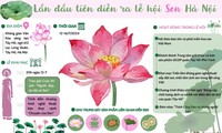 연꽃 축제에서 하노이 연꽃의 가치 홍보