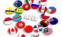 ឆ្នាំ APEC 2017៖វៀតណាមកសាងរូបភាពប្រកបដោយសុវត្ថិភាពស្និទ្ធស្នាលពោពេញទៅដោយអត្តសញ្ញាណវប្បធម៏