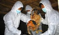 បង្កើនការបង្កាប្រឆាំងអាសន្នរោគផ្ដាសាយ A H5N1 និងផ្ដាសាយ A H7N9។