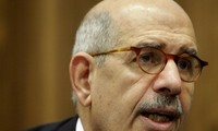 លោក Mohamed El Baradei ធ្វើពិធីសេច្ចាប្រនិធានទទួលដំណែងធ្វើជាអនុប្រធានាធិបតីបណ្តោះអាសន្នអេហ្ស៊ីប