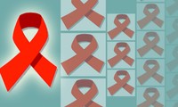 បង្កើនការចូលរួមនិងប្រទ្ធិភាពនៃសកម្មភាពរបស់បណ្ដាអង្គការ សង្គមក្នុងការបង្ការប្រឆាំងនឹងជំងឺ HIV/AIDS