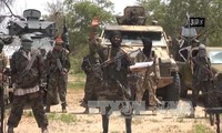 Nigeria៖ ពួកឧទ្ទាម Boko Haram ដោះលែងចំណាប់ខ្មាំងចំនួន ១៩២ នាក់