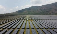BNN Bloomberg: Vietnam “Booming” di Bidang Energi Surya
