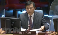 Vietnam Hadiri Pertemuan Dewan Keamanan Tentang Situasi Keamanan Republik Demokratik Kongo dan Dataran Tinggi Golan