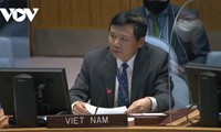 Vietnam Pimpin Sidang Komisi Dewan Keamanan untuk Sudan Selatan