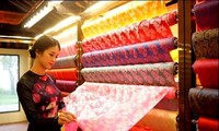 2016年越南亚洲丝绸文化节开幕