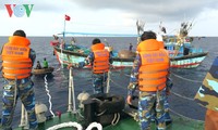 越南呼吁保障在海上作业渔民的安全
